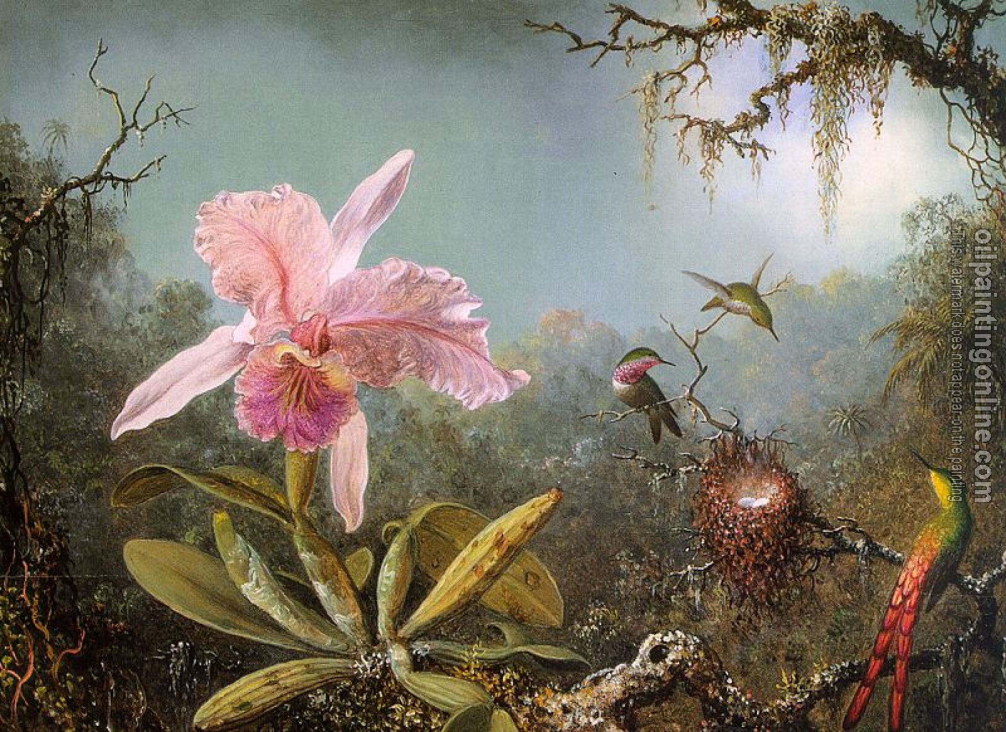 Heade, Martin Johnson - Cattelya Orchid and Three Brazilian Hummingbirds